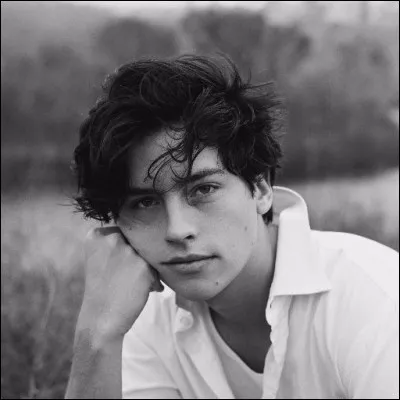 D'où vient le grand succès de Cole Sprouse ? 
(2 réponses possibles)
