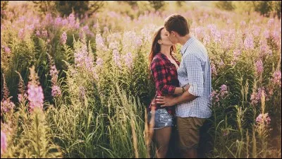 Que recherches-tu le plus chez un amoureux ?