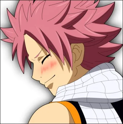 Qui a été le premier amour de Natsu ?
