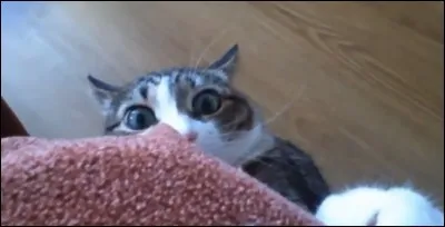 Ton jeu préféré est :