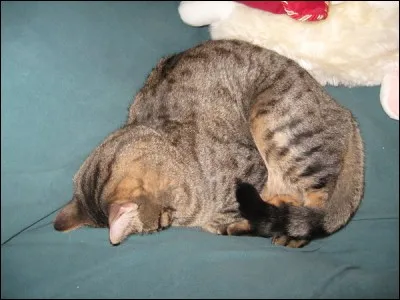 Tu te couches plutôt vers...