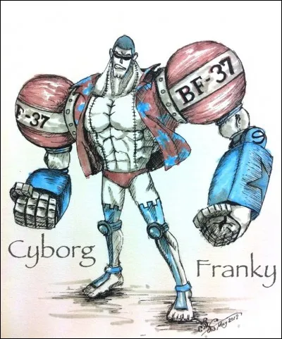Franky est un ...
