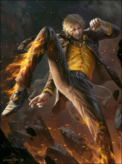 Avec quoi se bat Sanji ?