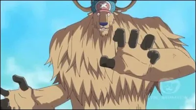 Quel fruit du démon a mangé Tony Tony Chopper ?