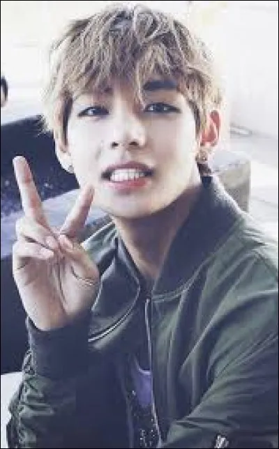 Quel est le nom de V ?