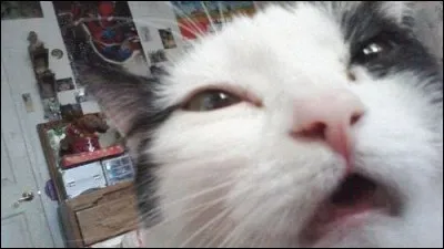 Ton jeu préféré est :