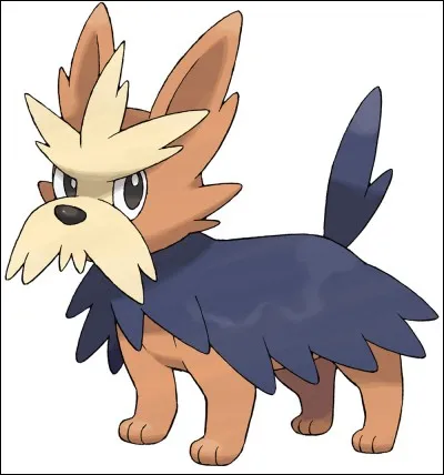 Quel est ce Pokémon ?