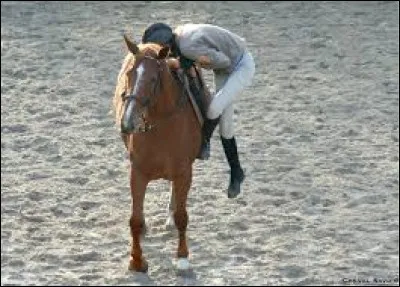 De quelle côté monte-t-on à cheval ?