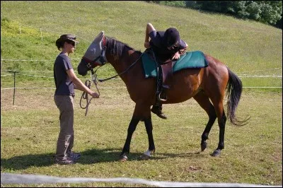 À quel âge débourre-t-on un cheval ?