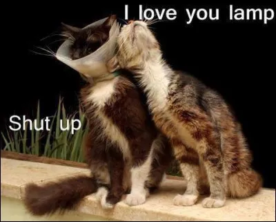 Quel passe-temps fera-t-il le plus avec elle ?