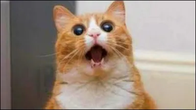 Le surnom qu'il lui donnera sera...