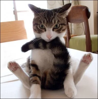 Qu'est-ce qui décrit le mieux votre couple ?