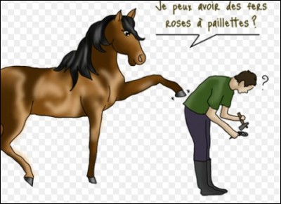 Pourquoi pose-t-on des fers sur les sabots des chevaux ?
