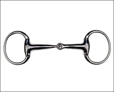 Comment s'appelle cet objet en m&eacute;tal que l'on met dans la bouche du cheval pour le diriger et le ralentir ?