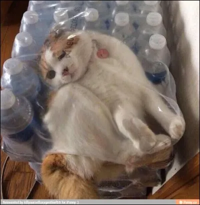 Quel est ton style de combat ?