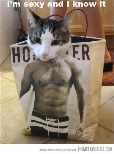 Quelle est ta technique de drague ?