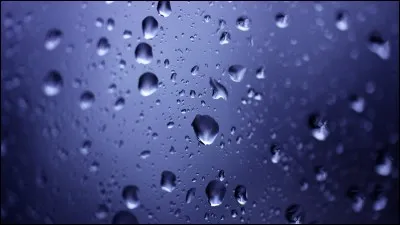 Aujourd'hui il ne fait pas très beau mais tu dois t'occuper de ton cheval.