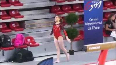 Où se trouve le centre de haut niveau de Belgique (Flandre) ?