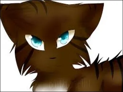 Mon pelage est brun foncé, j'ai des yeux bleu glacé, mon père est un traître, ma mère une chatte errante et ma sur est guérisseuse. Qui suis-je ?