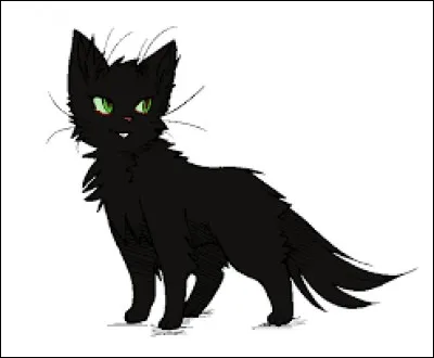 Mon pelage est noir, mes yeux sont verts, j'ai deux frères qui sont enveloppés d'une prophétie et mes parents sont des traîtres. Qui suis-je ?