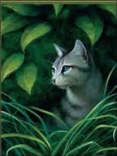 Mon pelage est gris et argenté, mes yeux sont bleus, j'ai une sur; pour prouver ma valeur, je me suis fait "engager" par un endroit peuplé de criminels. Qui suis-je ?