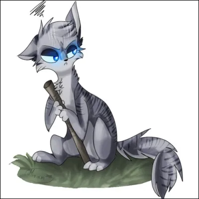 Mon pelage est gris-tigré, mes yeux sont bleus, j'ai un frère et une sur, je suis guérisseur (et grognon aussi !). Qui suis-je ?