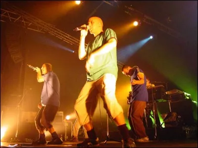 Qui chante, dans Mélée ouverte en 2002, "Au départ t'as Bruno et Jean-Marie pour te sauver Et tu te retrouves avec Adolf à l'arrivée.." ?