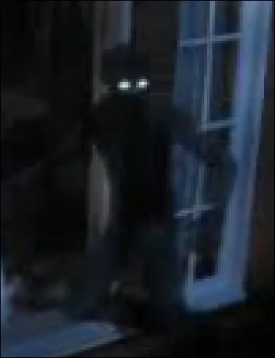 Qui est le "patron" de Peter ? (Qui lui donne des ordres)