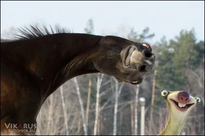 Quelle est ta saison favorite ?