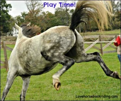 Quelle est la plus belle des choses selon toi ?