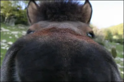 Quelle est ta chanson préférée ?