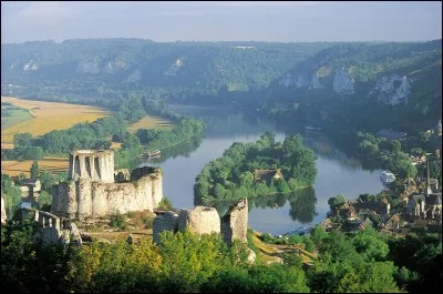 Encore un château au-dessus d'un fleuve : cette petite sous-préfecture du département de l'Eure est dominée par son impressionnant château fort qui surveillait la vallée de la Seine. Quelle est cette ville ?