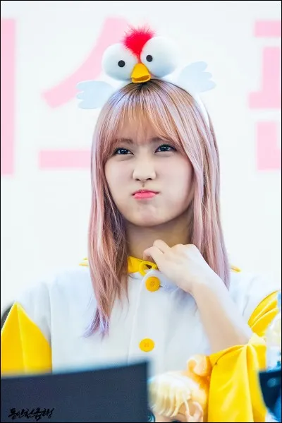 Quel surnom lui ont donné les autres membres ?