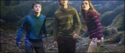 Harry, Ron et Hermione font la rencontre de Graup, le demi-frère d'Hagrid, comment appelle-t-il Hermione ?