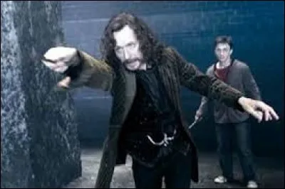 Par qui le parrain de Harry se fait-il tuer ?