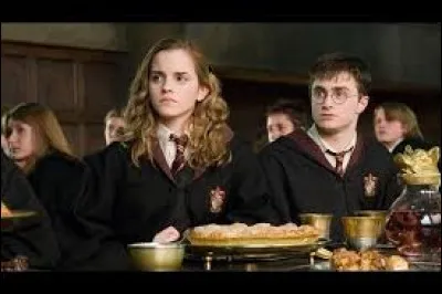 Quel est le nouveau professeur des défenses contre les forces du mal ?