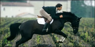 En CSO une désobéissance compte pour ...