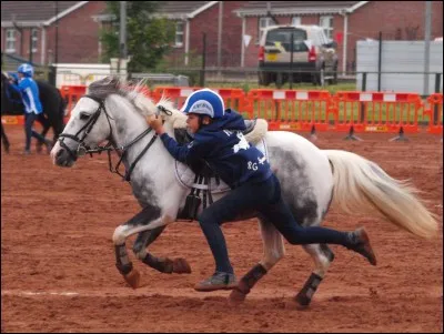 Pour pratiquer le pony games expert il faut avoir comme brevet ...