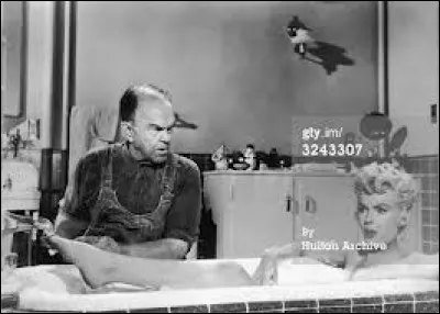 Dans le bain, c'est Marilyn Monroe (dans le film Sept ans de réflexion (The seven year itch)) sous les yeux d'un plombier, qui est là pour quelle raison ?