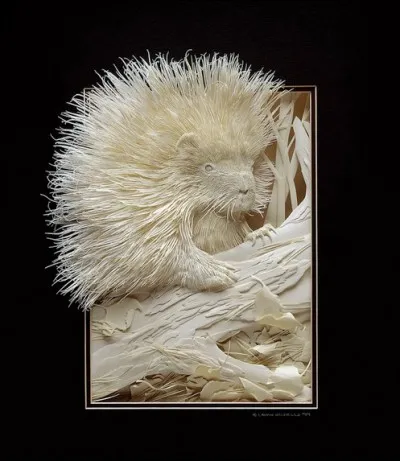 Panier d'osier servant à lancer la balle de pelote basque.