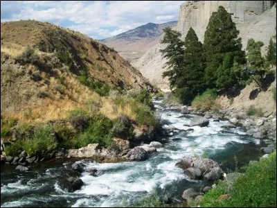 En peinture, qu'est-ce qu'une nature morte ?