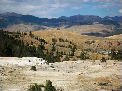 Qu'est-ce qu'une "trompette de la mort" ?