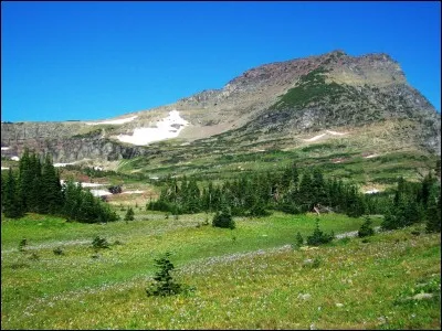 Dans une taverne belge, si vous commandez une "Mort Subite", quel breuvage vous servira-t-on ?