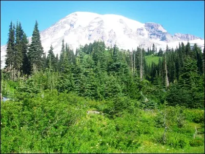 Quelle chanteuse interprète "Il est mort le Soleil" ?