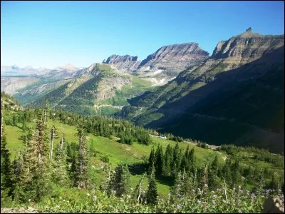 Qu'illustre, depuis le treizième siècle, la maxime "Le Roi est mort, vive le Roi", traditionnellement prononcée à la mort des Rois de France ?