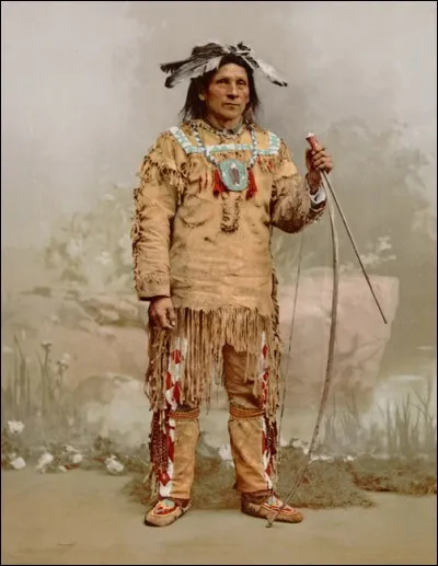 Lesquels de ces peuples autochtones ne sont pas des Amérindiens séjournant dans le nord-est de l'Amérique du Nord ?