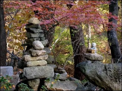 Un chat est caché dans la photo, où est-il ?