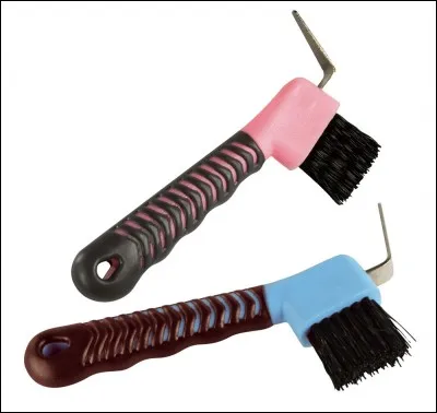 Passons au pansage : quel est l'ordre du pansage ?