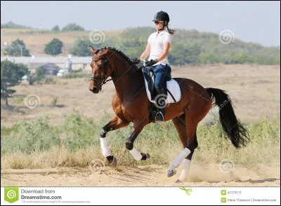 Pour ralentir et arrêter un cheval, il faut :