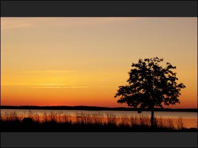 Qui était le compagnon d'Ombre d'Erable ?